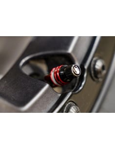 APEX VALVULA DEFLACTORA RAPIDA RCV RAPID CONNECT VALVE SET DE 4 UNIDADES 2