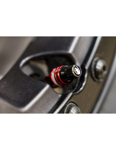 APEX VALVULA DEFLACTORA RAPIDA RCV RAPID CONNECT VALVE SET DE 4 UNIDADES 2