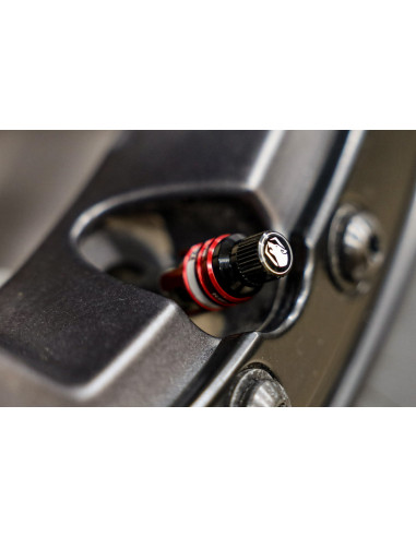 APEX VALVULA DEFLACTORA RAPIDA RCV RAPID CONNECT VALVE SET DE 4 UNIDADES