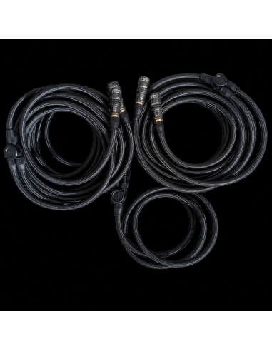 APEX Multi Tire Inflator - 4 Tire Inflation...
