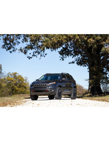 ROUGH COUNTRY SUSPENSION KIT 2" Lift Struts |...