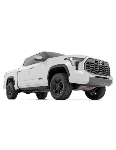 ROUGH COUNTRY Power Running Boards Dual Motor |...
