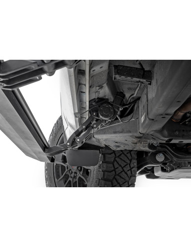 ROUGH COUNTRY Power Running Boards Dual Motor |...