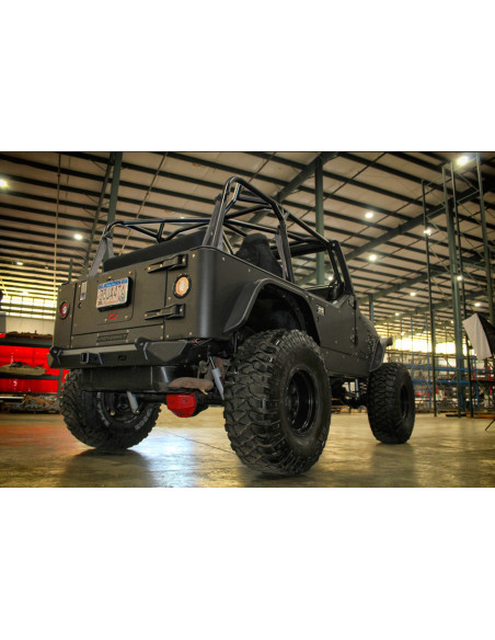 Crusher Rear Fender 4" Flare for Jeep TJ/LJ