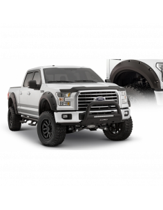 ALETINES BUSHWACKER FORD F150 15-17