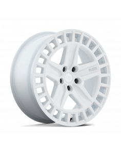ALSTON 20X8.5 5X120 74 G-WHT +25