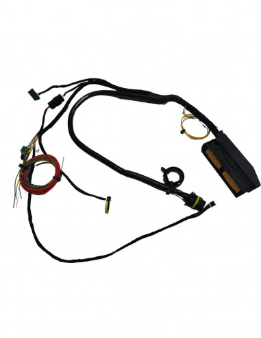 Wire harness TCU-8HP-Y61