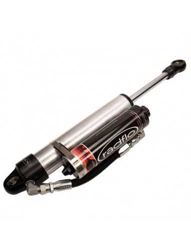 RADFLO SPRINTER SERIES ROAM 2.5 TRASEROS...