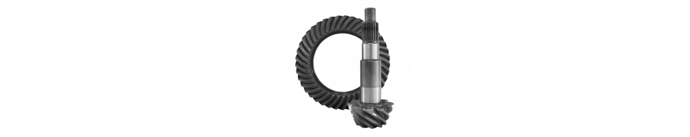 RING AND PINION