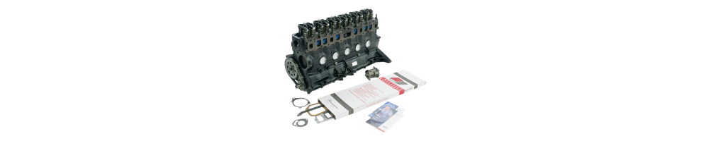 MOTOR, CAJA DE CAMBIOS Y TRANSFER
