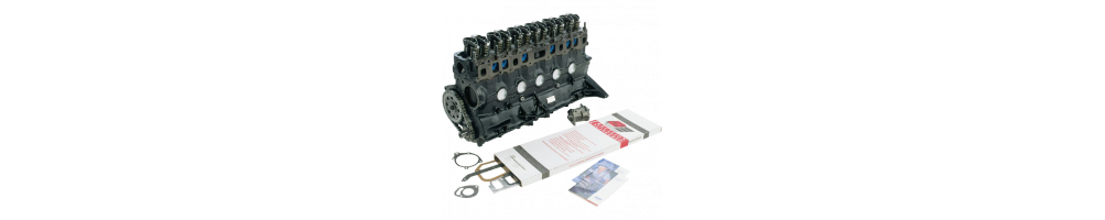 MOTOR, CAJA DE CAMBIOS Y TRANSFER