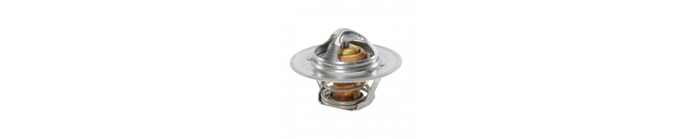 THERMOSTATS